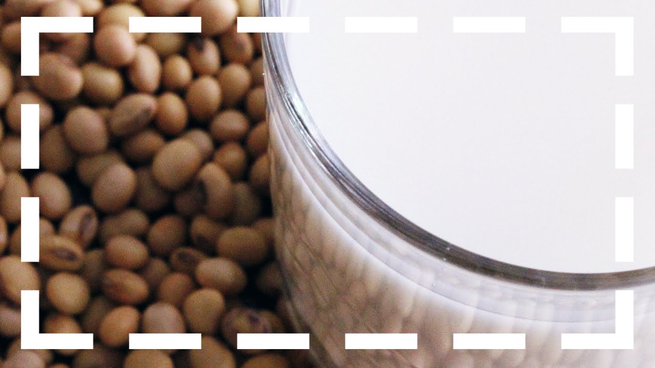 como hacer leche de soja verde