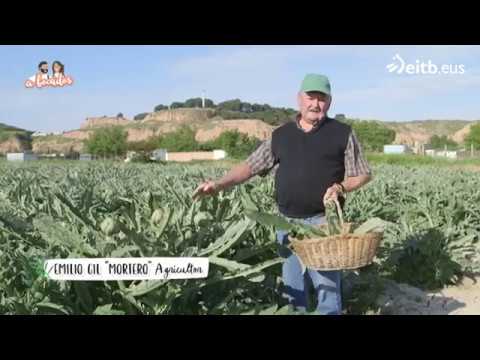 cuando es la epoca de las alcachofas