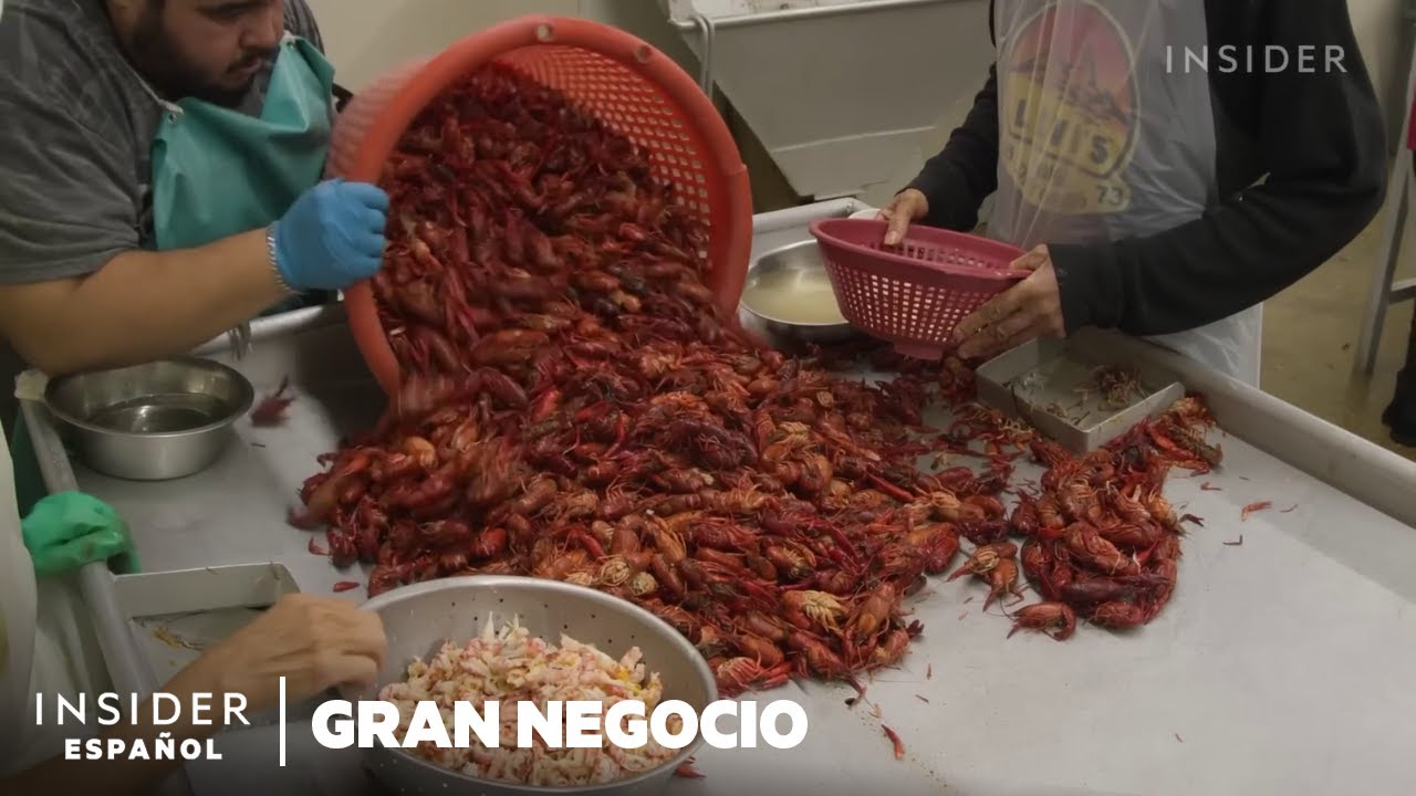 dónde comprar cangrejos de río vivos