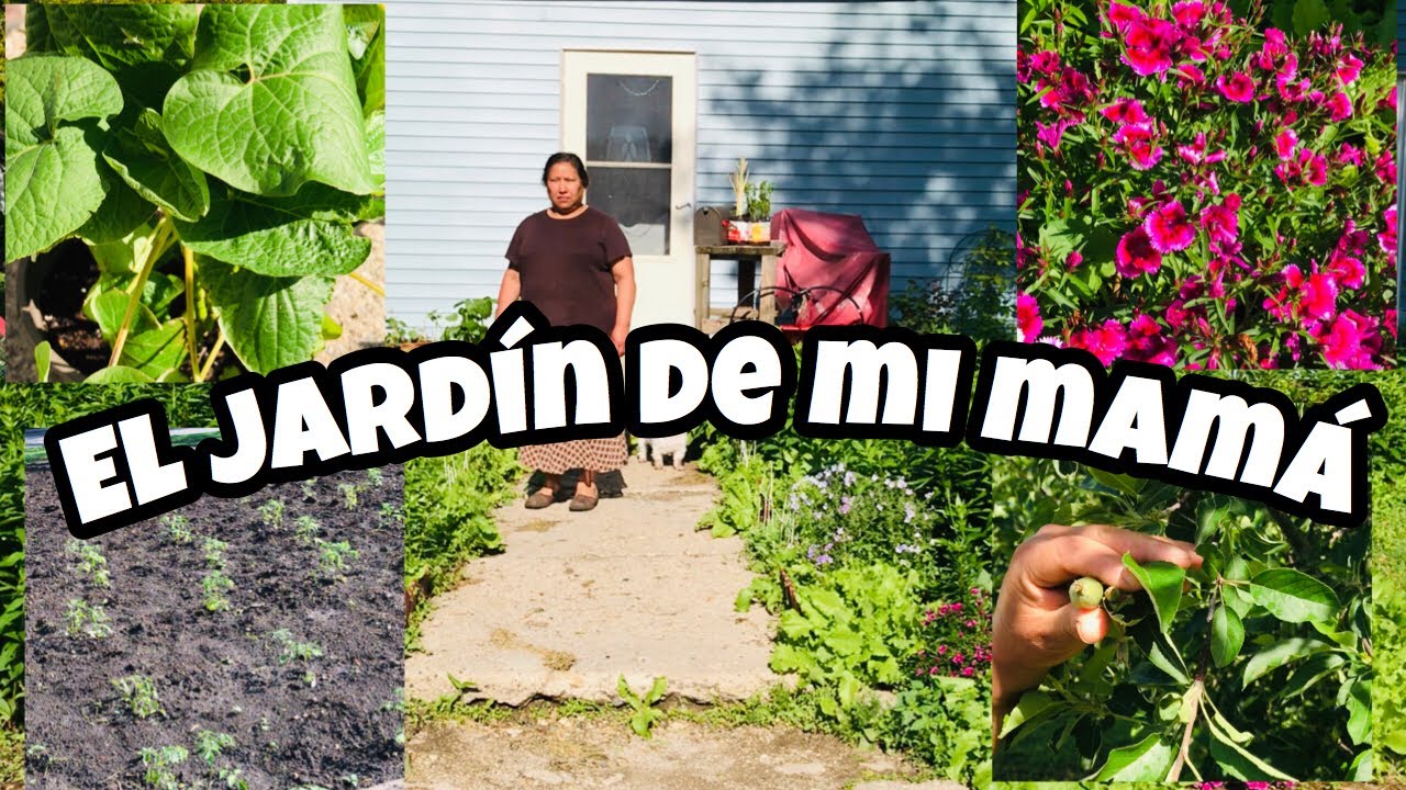 el jardin de mis recetas