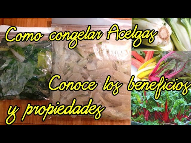 las acelgas se pueden congelar
