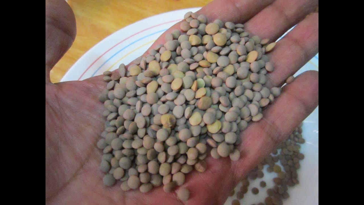 lentejas por persona y agua