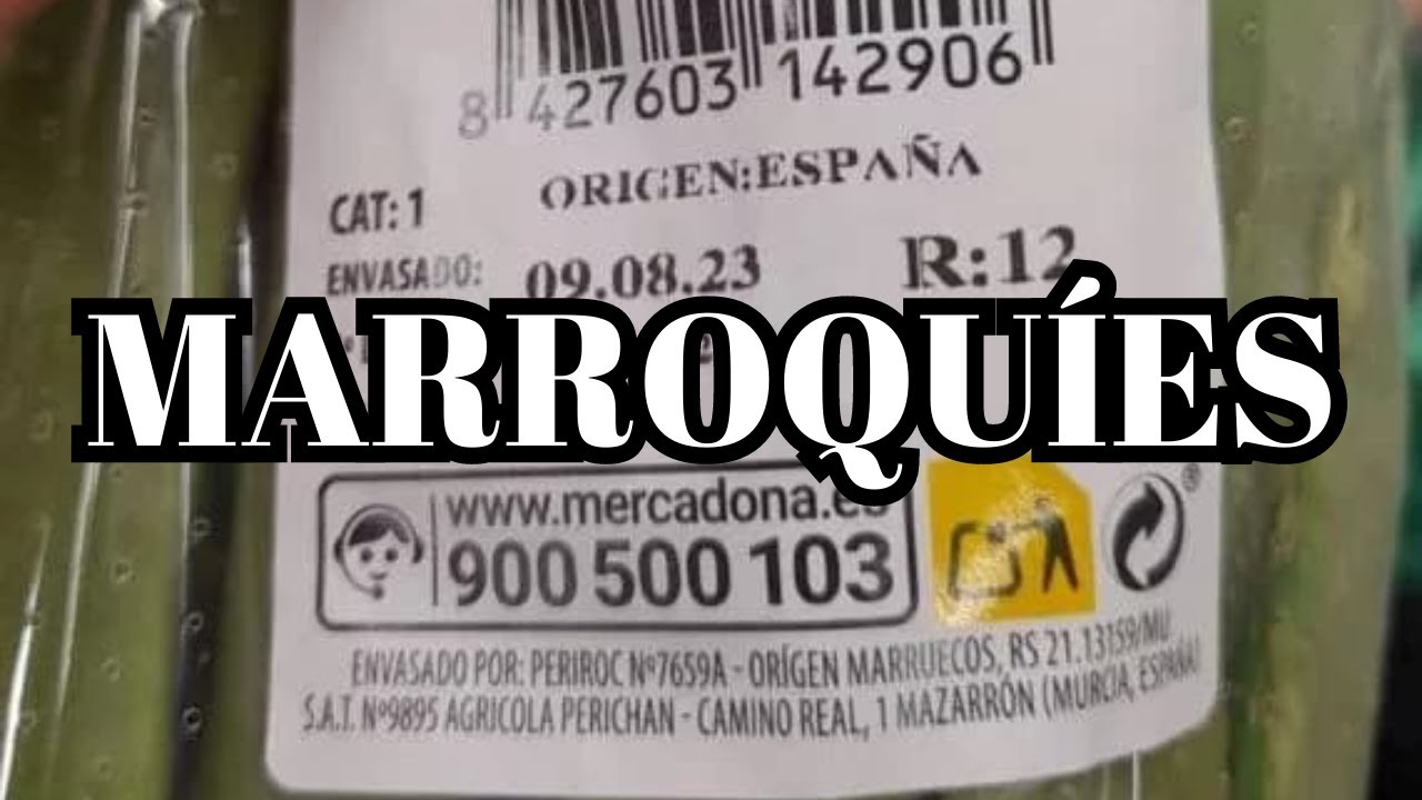 precio judías verdes frescas mercadona