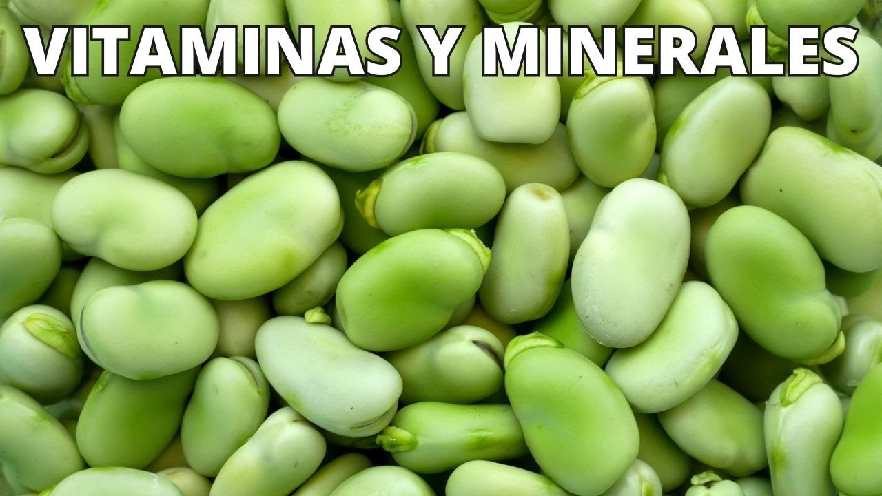 propiedades de las habas fritas