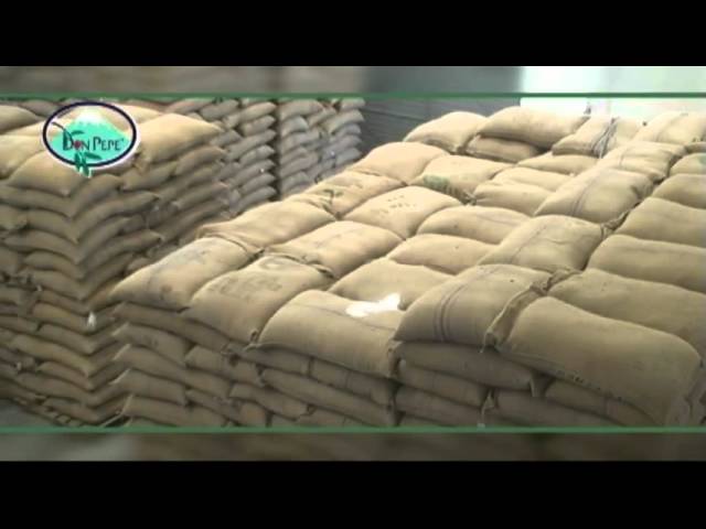 sacos de cafe en grano