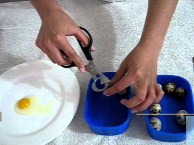 tijeras para cortar huevos de codorniz