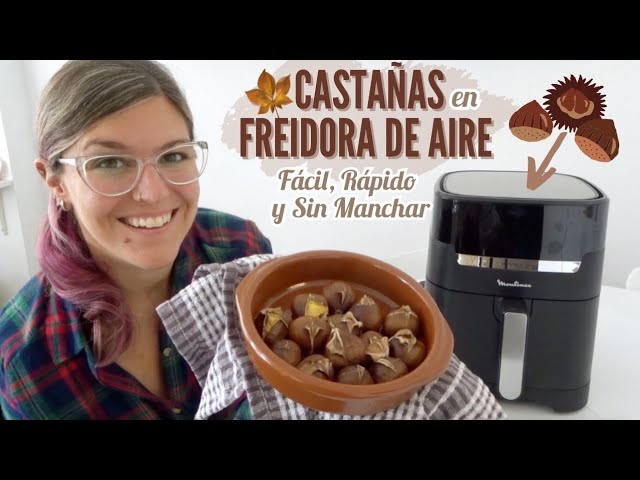 castañas en freidora de aire lidl