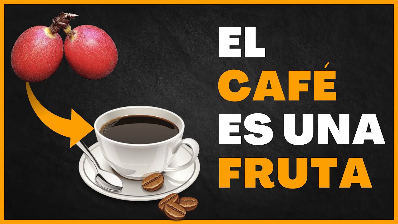 el cafe es un fruto