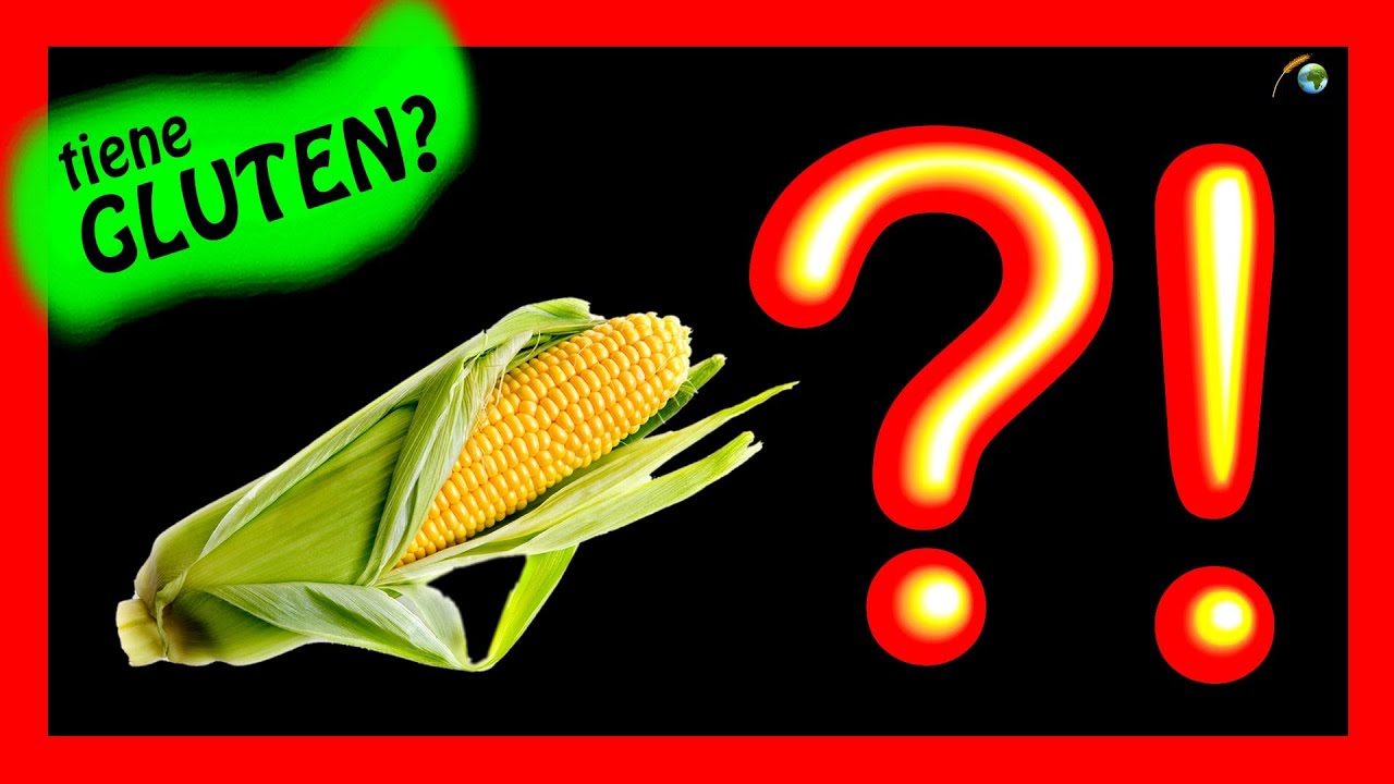 harina de maiz contiene gluten