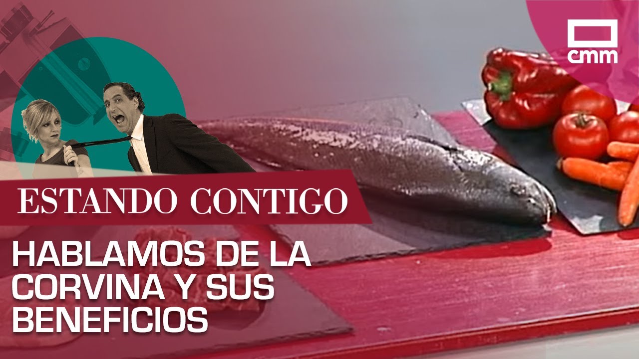 la corvina es pescado blanco