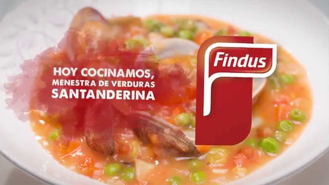 menestra de verduras congeladas findus