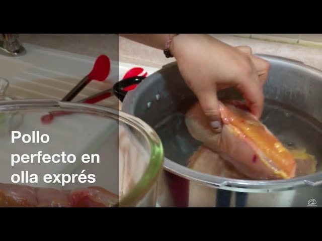 pollo en la olla express