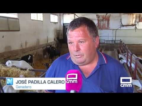 precio de la leche de cabra 2022