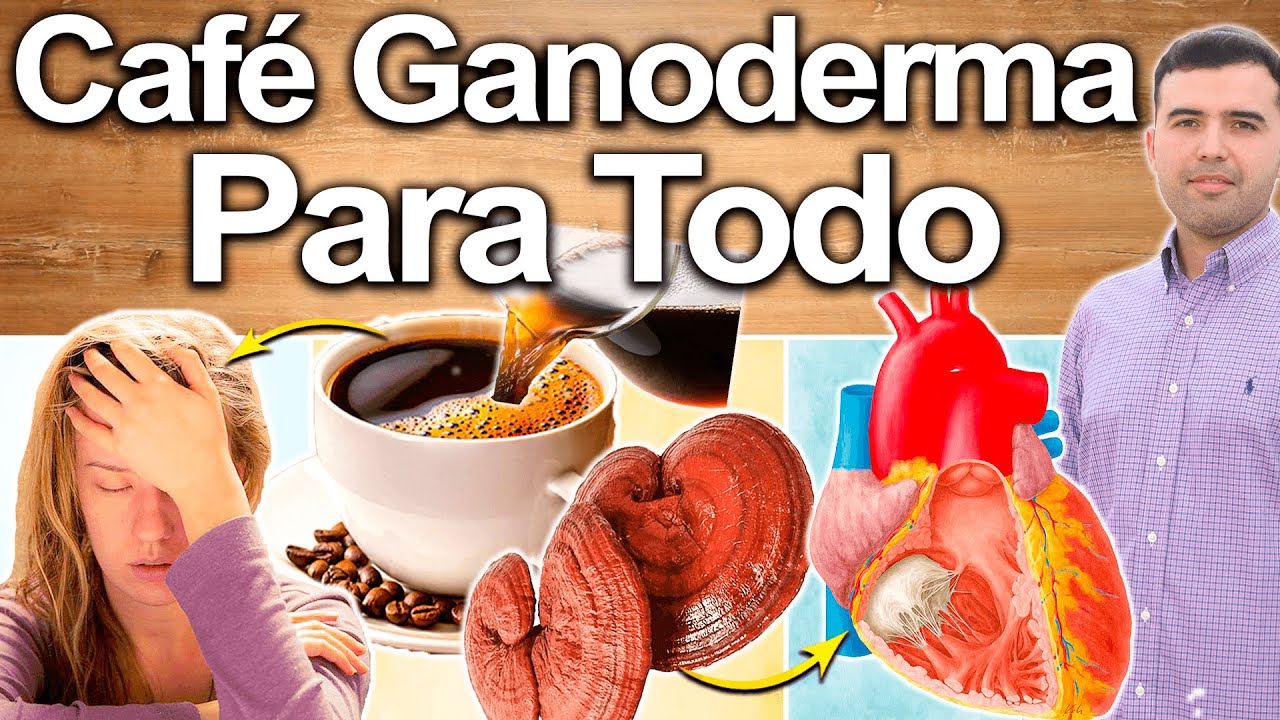 qué es el café ganoderma