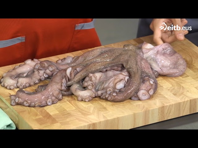 se puede congelar pulpo cocido