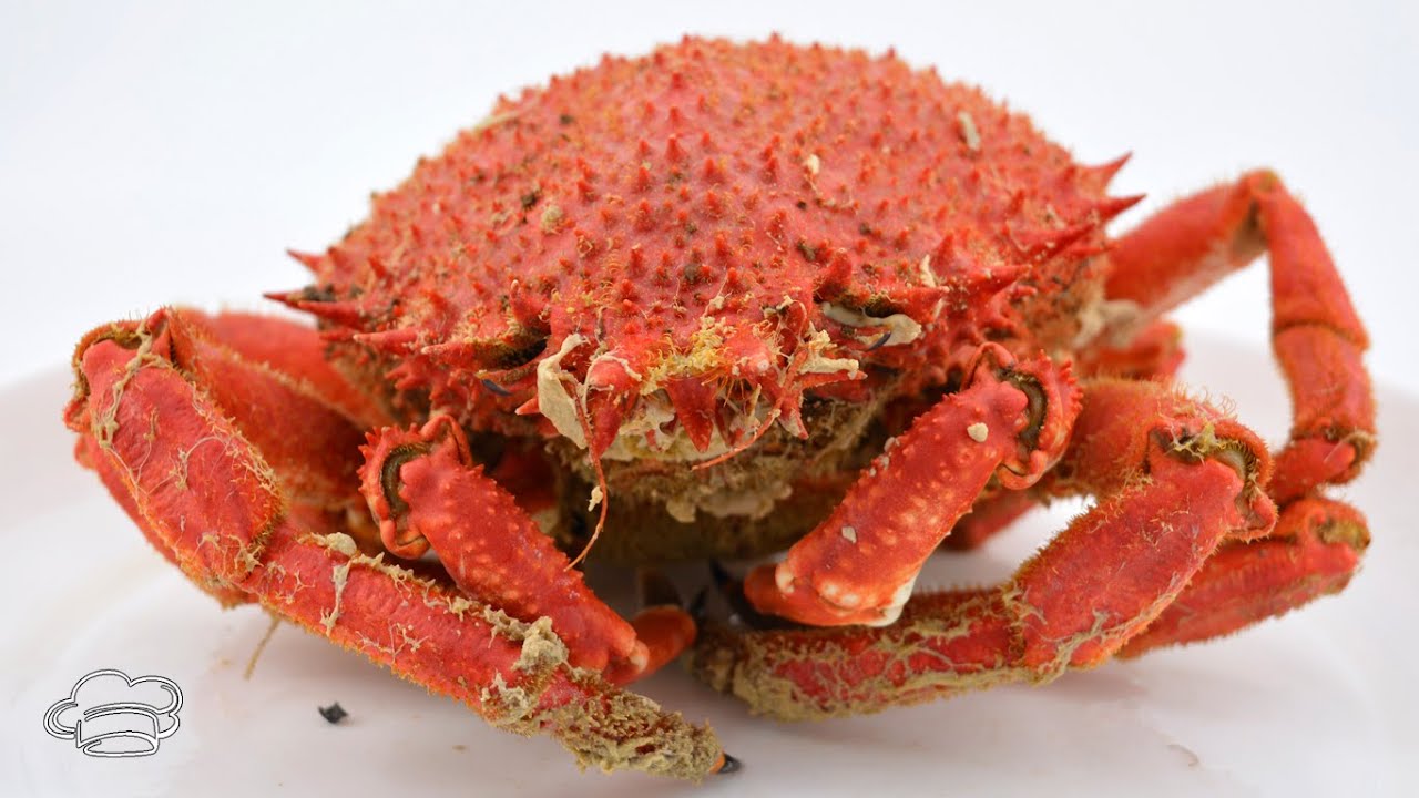 tiempo coccion centolla 1 kg