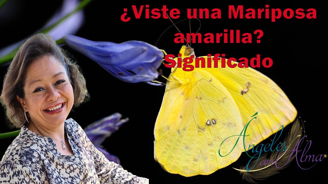 ver mariposa amarilla significado espiritual